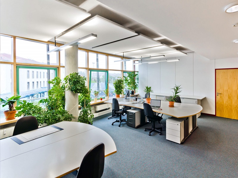 15+ Mẫu thiết kế văn phòng xanh tạo cảm hứng làm việc mới!