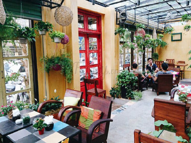 trang trí quán cafe bằng cây xanh